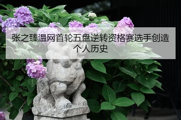 zhang-zhi-zhen-wen-wang-shou-lun-wu-pan-ni-zhuan-zi-ge-sai-xuan-shou-chuang-zao-ge-ren-li-shi-2-795.jpg