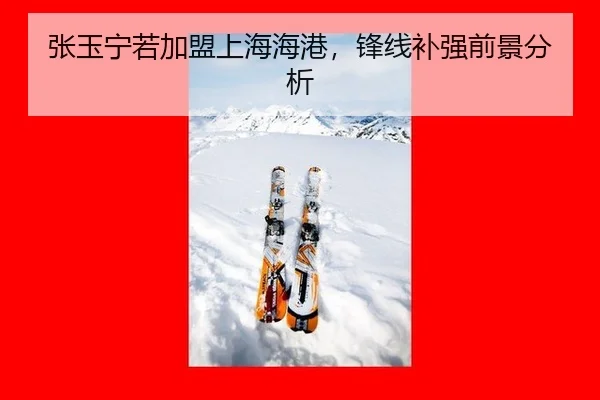 zhang-yu-ning-ruo-jia-meng-shang-hai-hai-gang-feng-xian-bu-qiang-qian-jing-fen-xi-2-100.jpg